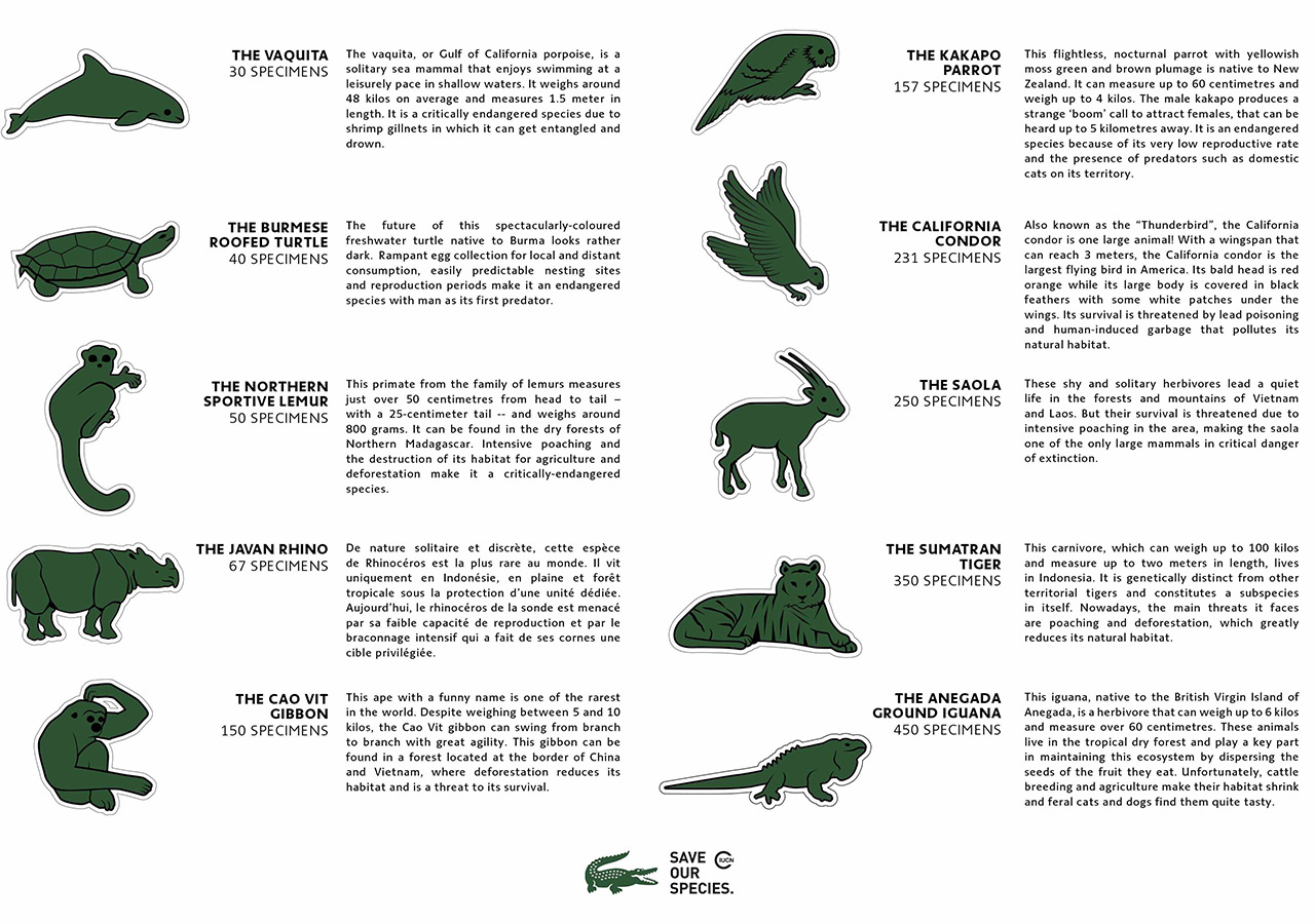 lacoste-logo-cocodrilo_01 - Publicidad Supra Imagenes de logos alternativos de lacoste